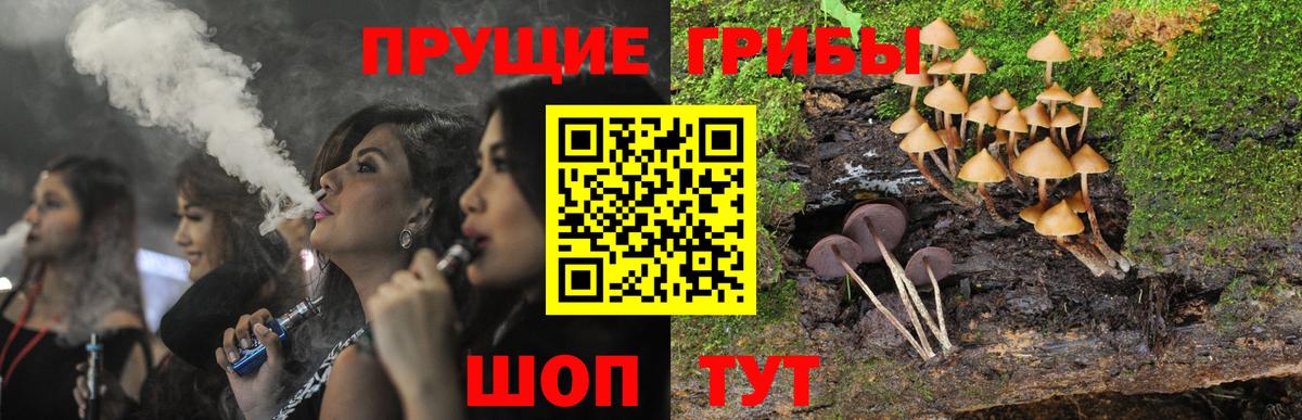 где найти наркотики  Вход с VPN  Псилоцибиновые грибы Magic Shrooms  Жуковский  Галлюциногенные грибы ЛСД 